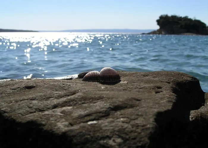 Rab Elizabeta First Line To The Sea Pensión